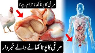 Murgi Ka Pota Khane Wale Zaroor Dekhe | Pota khana haram hai ya halal | Pyaara