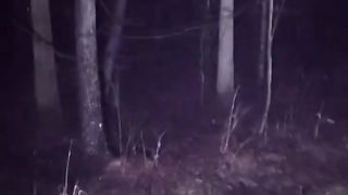 Halloween Jumpscare