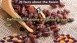 20 Facts about raisin