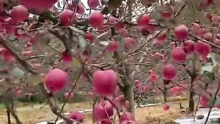 hunting in nature! 4