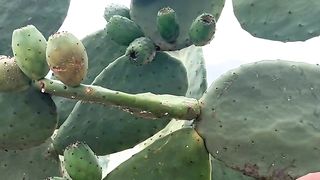 hunting in nature! 6