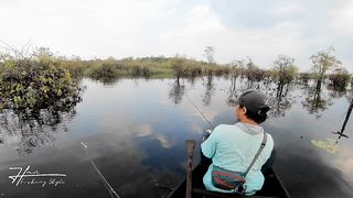 Casting fishing sneakhead,