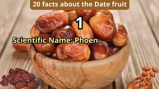 20 Facts about date fruit