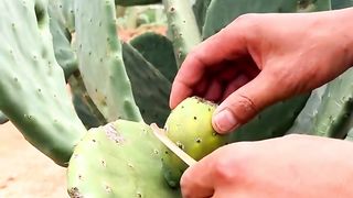 Sweet and Juicy 4