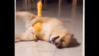 #funny #memes