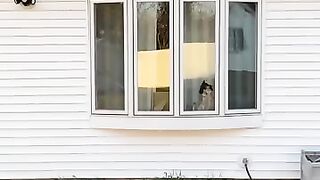 WHERE DO YOU THINK SHE WENT  #Short.mp4