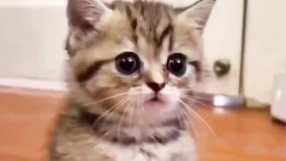 Hey one a miĺlion love