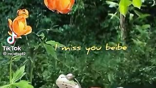 I miss you baby