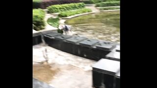 Funny Animal Attack