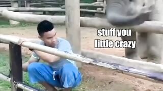 Must watch Very spacial New funny comedy videos amazing funny video 2022
