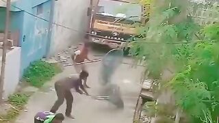 شاهد كيف يصاد كلاب