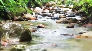 Beautiful nature 139