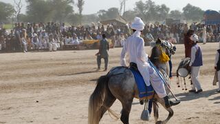 #febspot#foryou #foryoupage#horses#ridings#vedios #fyp #Ahmad#horsepower#trendin50