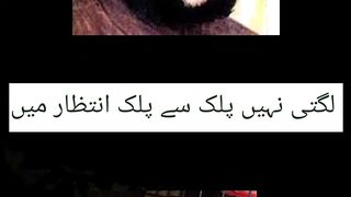 Meer Taqi Meer میر تقی میر