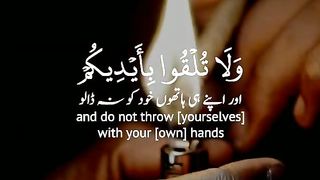 Saqoon qalb 2