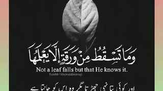 اسلامی معلومات Like share follow اسلامی معلومات Like share follow 2