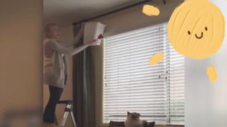 Strange funny behaviors of animals 5
