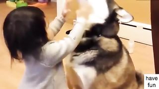 Funny Babies and Animals Compilation