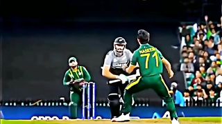 cricket 20