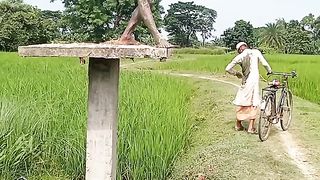 funny video 418