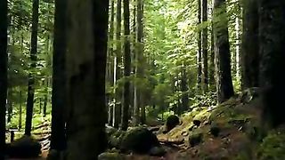 musique et nature séquence test