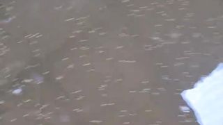 Saat musim REDUP, wajar jika sewaktu-waktu ikan lele MALAS MAKAN