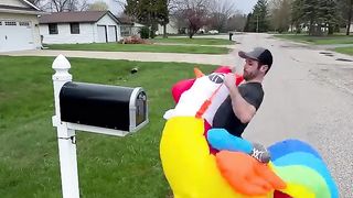 If people rode chickens instead of walked
