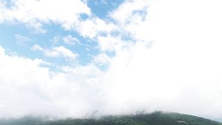 "Tranquil Trails: A Cinematic Exploration of Nature's Serenity"