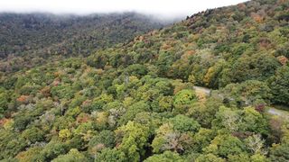 "Sacred Symphony: Journeying Through Nature's Timeless Elegance"