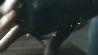 Best Transformation Ever