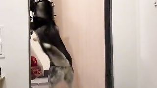 Приколи 620