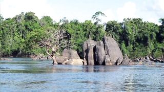Essequibo River
