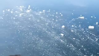 THE OCEAN CANT BE REAL .