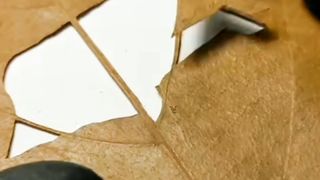 Kreatif ukir daun versi GUS AZMI