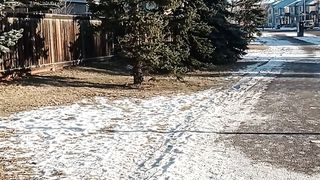 Snow fall canada