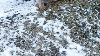 Canada snow fall