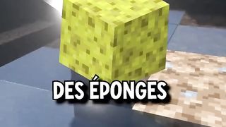 Les items RARES de Minecraft 1
