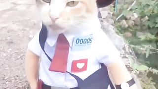 Kucing nya ikut sekolah
