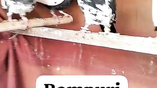 Pigeon for sale in Pakistan and Bangladesh for sale