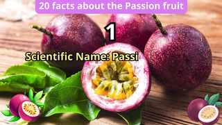 20 Facts about passion fruit