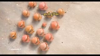 OʻZBEKISTON 6