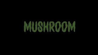 Mushroom 3