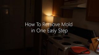 How To Remove Mold in One Easy Step