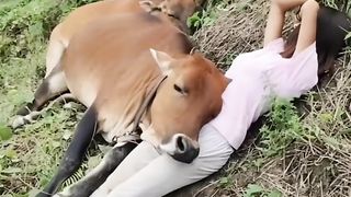 A girl with cow