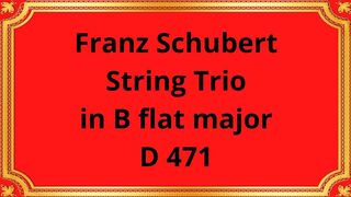 Franz Schubert String Trio in B flat major D 471