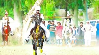 #febspot#foryou #foryoupage#horses#ridings#vedios #fyp #Ahmad#horsepower#trendin51