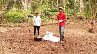 LUYA FARMING PLANTATION PROJECT @dreamersblogtv