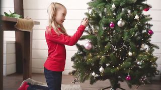 amazon christamas tree