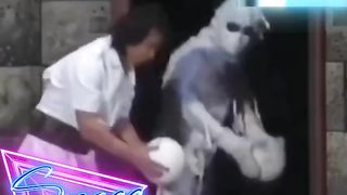 Kocak 6