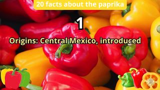 20 Facts about paprika